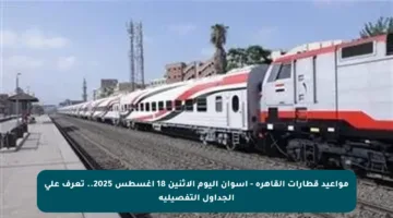 مواعيد قطارات القاهرة – أسوان اليوم الاثنين 18 أغسطس 2025.. تعرف على الجداول التفصيلية